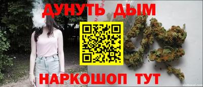 стаф Бузулук