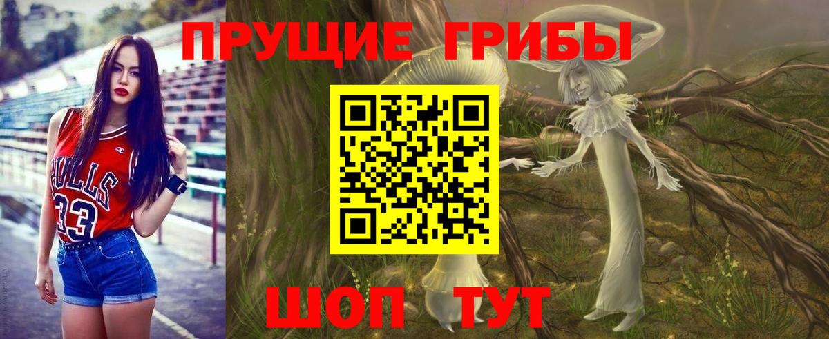 Арзамас  Псилоцибиновые грибы MAGIC MUSHROOMS  Вход с VPN  Псилоцибиновые грибы прущие грибы 