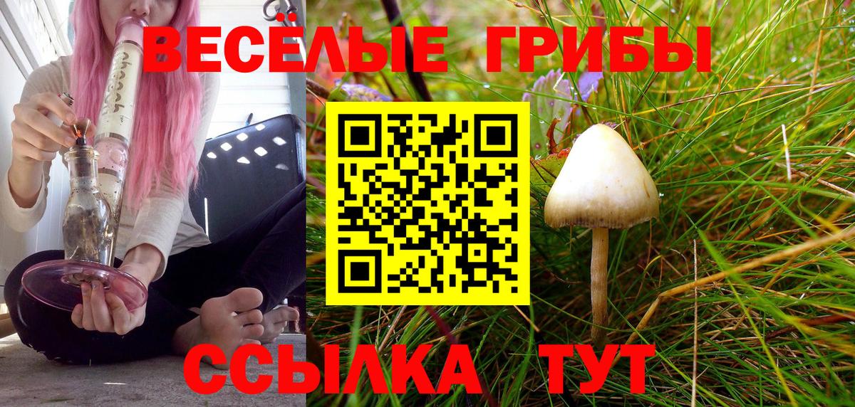 Галлюциногенные грибы GOLDEN TEACHER Арзамас